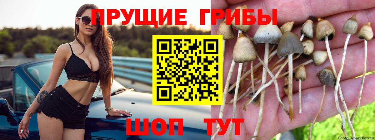 Галлюциногенные грибы мицелий  Псилоцибиновые грибы Psilocybine cubensis  Вход с VPN  Кумертау 